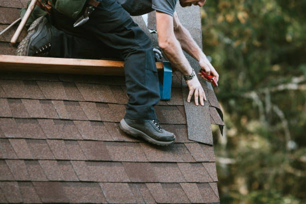 Best Roof Gutter Cleaning  in Cordova, AL